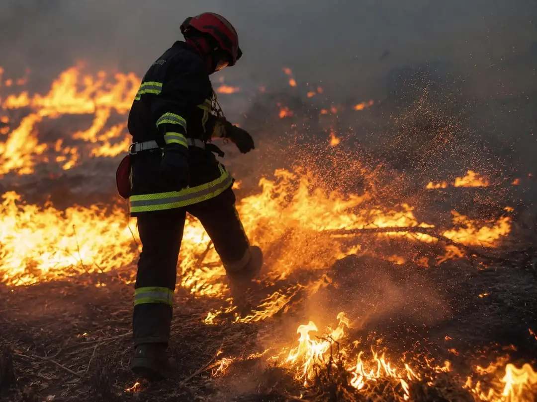 France and Spain wildfires