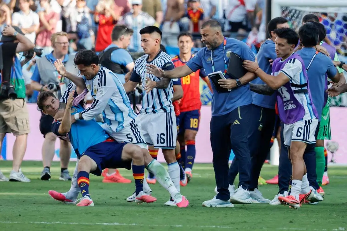 World Cup final brawl